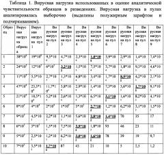 Способ выявления в биологическом материале днк вируса гепатита в при низкой вирусной нагрузке на основе двухэтапной пцр (патент 2633755)