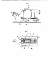Устройство для обмолота зерновых культур на корню (патент 965383)