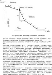 Способ определения дыхательного контроля у популяции бактерий (патент 2247780)