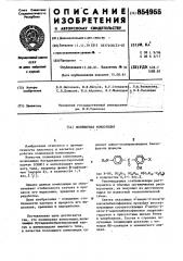Полимерная композиция (патент 854955)
