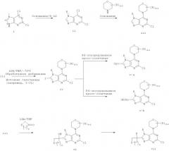 N-7 замещенные пурины и пиразолопиримидины, их композиции и способы применения (патент 2515541)