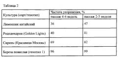 Способ повышения эффективности культивирования in vitro березы повислой, лимонника китайского, рододендрона и сирени (патент 2619177)