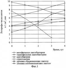 Способ получения симбиотического бактериального концентрата для производства продуктов гетероферментативного брожения (патент 2287939)