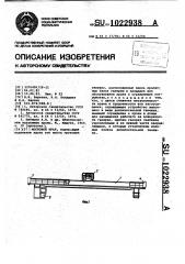 Мостовой кран (патент 1022938)