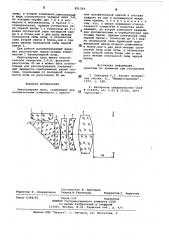 Биокулярная лупа (патент 851319)