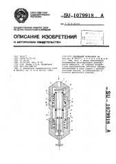 Клапанный пульсатор (патент 1079918)