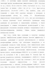 Scfv против egfrviii с улучшенной цитотоксичностью и выходом, иммунотоксины на их основе и способы их применения (патент 2317999)