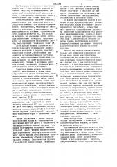 Модель растения кочанной капусты (патент 1167468)