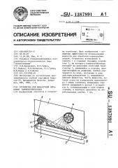 Устройство для жидкостной обработки корнеклубнеплодов (патент 1387891)