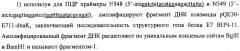 Способ получения белка e7-hsp70 и штамм дрожжей saccharomyces cerevisiae для его осуществления (патент 2489481)