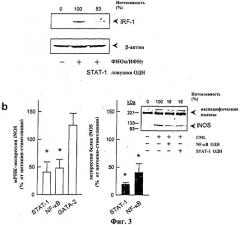 Ингибирование stat-1 (патент 2311910)