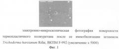 Штамм trichoderma harzianum rifai-биодеструктор термопластичного полиуретана, поливинилового спирта, латекса на основе акриловой кислоты, севилена (патент 2415914)