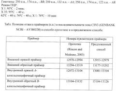 Способ определения а- и в-аллелей гена каппа-казеина крупного рогатого скота методом тетрапраймерной пцр (патент 2386700)