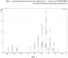 Штамм trichoderma citrinoviride bissett - продуцент антибиотиков-пептаиболов с антигрибной и антибактериальной активностью (патент 2564577)