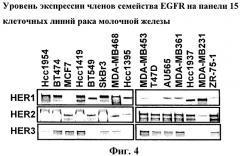 Применение имидазохинолинов для лечения заболеваний, зависимых от egfr, или заболеваний с приобретенной резистентностью к агентам, которые связываются с членами семейства egfr (патент 2481838)