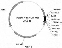 Рекомбинантная плазмидная днк pvar15-hiv-ltr, несущая клонированный фрагмент генома вич-1 типа из консервативного участка 5'-ltr последовательности, рекомбинантная плазмидная днк pbluksm-hiv-ltr mod, несущая клонированный модифицированный фрагмент этого же участка генома вич-1 типа, тест-набор для количественной экспресс-идентификации генома вич-1 любого типа в пробе и способ с его использованием (патент 2350650)