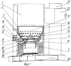 Устройство для сжигания твердого топлива (патент 2275552)