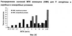 Способы лечения бактериальной инфекции легких с использованием фторхинолонов (патент 2535056)
