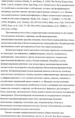 3,4-замещенные 1h-пиразольные соединения и их применение в качестве циклин-зависимых киназ (cdk) и модуляторов гликоген синтаз киназы-3 (gsk-3) (патент 2408585)