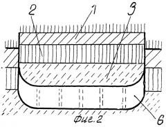 Способ обработки почвы (патент 2267890)