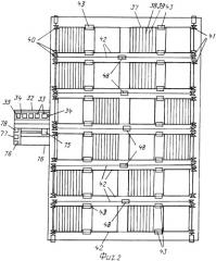 Способ сташевского и.и. производства жемчуга и устройство для его осуществления (варианты) (патент 2353090)