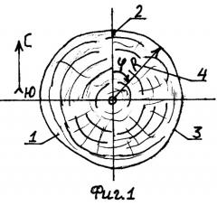 Способ анализа спилов древесного ствола (патент 2265841)