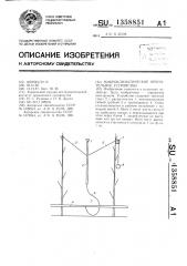 Микроклиматическое оросительное устройство (патент 1358851)