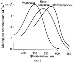 Способ фотопереключения ретинальсодержащего белка и оптический логический элемент на его основе (патент 2420773)