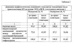 Способ оценки терапевтического воздействия эндометриальных стволовых клеток человека на поврежденный эндометрий в эксперименте. (патент 2593895)