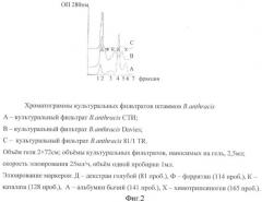 Способ идентификации bacillus anthracis с дифференциацией штаммов по продукции капсулы, протективного антигена и антигенов s-слоя (патент 2376385)