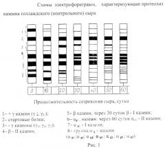 Способ производства полутвердых сычужных сыров (патент 2461206)