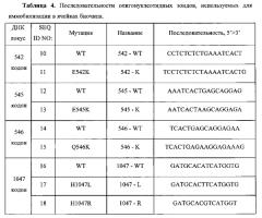 Способ анализа соматических мутаций в гене pi3k с использованием lna-блокирующей мультиплексной пцр и последующей гибридизацией с олигонуклеотидным биологическим микрочипом (биочипом) (патент 2549682)