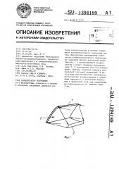 Концентратор излучения (патент 1394189)