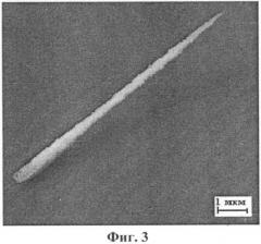 Способ выращивания игольчатых кристаллов (патент 2430200)