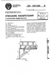 Устройство для внесения минеральных удобрений (патент 1007580)