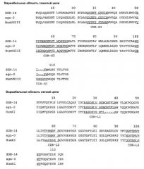 Гуманизированные анти-cd40-антитела и способы их применения (патент 2407544)