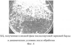 Способ получения бактериальной целлюлозы (патент 2536973)
