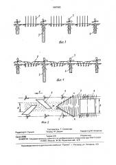 Способ возделывания сахарной свеклы (патент 1667663)