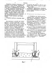 Устройство для очистки железнодорожного пути (патент 894028)