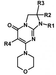 Новые производные 2,3-дигидро-1н-имидазо[1,2-а]пиримидин-5-она, способ их получения и применение в фармации (патент 2554868)