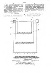 Устройство для загрузки корнеклубнеплодов (патент 869666)