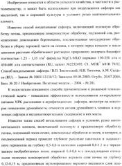 Способ возделывания сафлора в условиях резко континентального климата (патент 2362289)