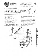 Проекционно-просмотровое устройство (патент 1318980)
