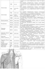 Способ лечения ишемической болезни сердца (патент 2349297)