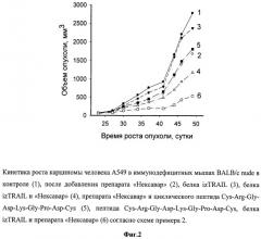 Способ подавления роста опухолей (патент 2530592)