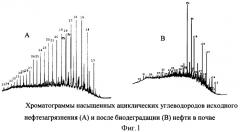 Биопрепарат для очистки почвы и воды от нефти и нефтепродуктов (патент 2361686)