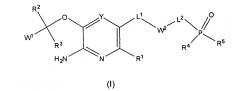Содержащие фосфор соединения в качестве ингибиторов протеинкина3 (патент 2598849)