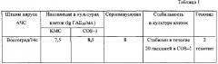 Штамм вируса африканской чумы свиней 8-го серотипа, адаптированный к перевиваемой культуре клеток cos-1 (патент 2575079)