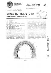 Затяжка для крепи горных выработок (патент 1303724)