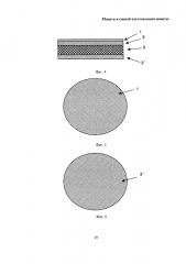Монета и способ изготовления монеты (патент 2667583)